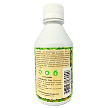 Cargar imagen en el visor de la galería, Sauco Flores y Frutos