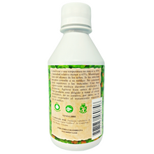 Cargar imagen en el visor de la galería, Totumo